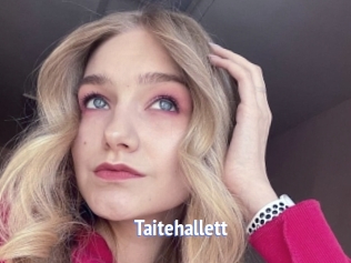 Taitehallett