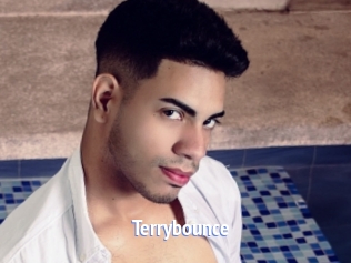Terrybounce