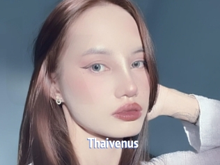 Thaivenus