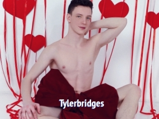 Tylerbridges