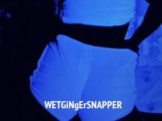 WETGiNgErSNAPPER