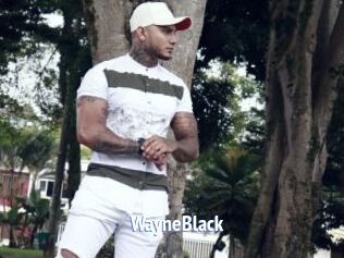 WayneBlack