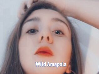 Wild_Amapola