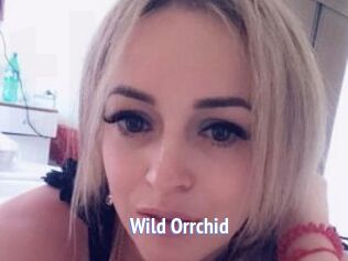 Wild_Orrchid