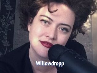 Willowdropp