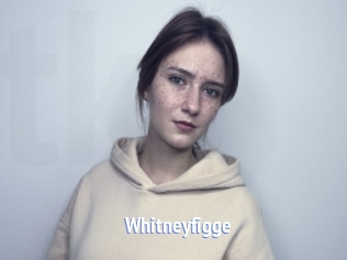 Whitneyfigge