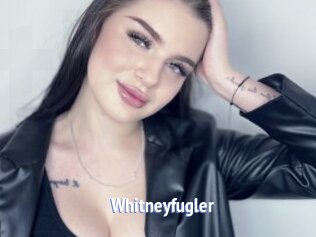 Whitneyfugler