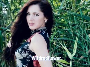 Wildredflower