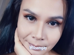 Wilsongay