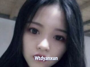 Wtdyanxun