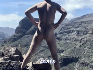 Zebrito