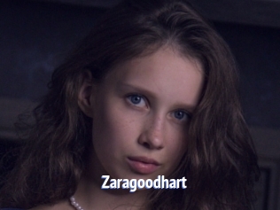 Zaragoodhart